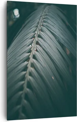 Produktbild von Bild auf Leinwand - Leinwandbild - Einteilig - Blatt Palme exotisch - 80x120cm - Wand Bild - Wanddeko - Wandbilder - Leinwanddruck - Wanddekoration - Leinwand bilder - Wandbild - PA80x120-4907