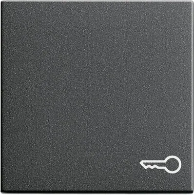 Image de GIRA Bascule 1t Interrupteur Système 55 anth