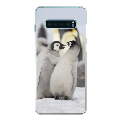 Produktbild von MuchoWow® Handyhülle Schutzhülle Hülle für Samsung Galaxy S10 Plus Pinguine - Schnee - Tiere Silikon Softcase Handy Hülle - Schutzhülle