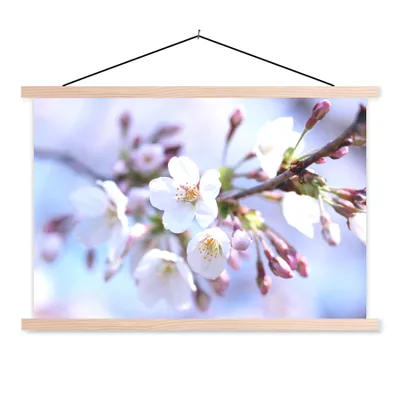 Obrázek produktu pro MuchoWow® Textilní plakát - Květiny - Sakura - Větev - 60x40cm - S hnědými lamelami