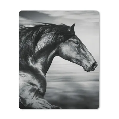Produktbild von MuchoWow® Mauspad Mousepad Pferd - Tiere - Schwarz - Weiß 30x40 cm - Mousepads - Maus Mat - Pad - Mausunterlage - Mausmatten