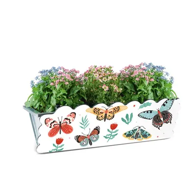 Produktbild von MAXXMEE Kastendekoration Schmetterling - Für Standard-Blumenkästen von 30-50 cm Breite