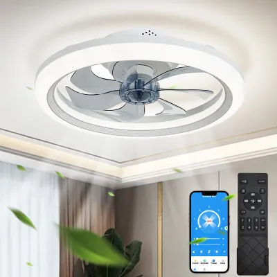 Deckenventilator 50 cm, LED-Licht, Fernbedienung, umkehrbar