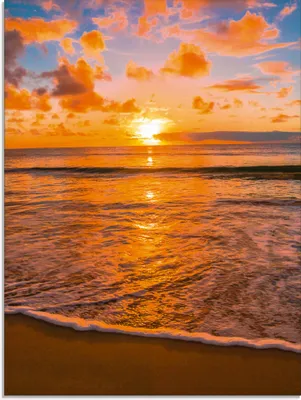 Produktbild von ARTland Glasbild Sonnenuntergang am Strand Größe: 60x80 cm
