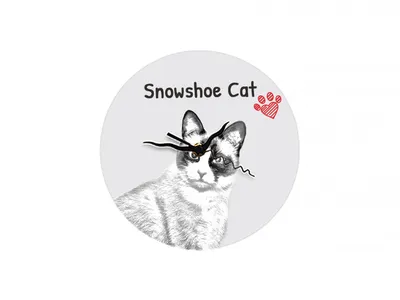 Obrázok produktu pre Chat des neiges hodinový stroj s obrázkem koňa Art-Dog