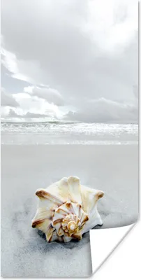 Produktbild von MuchoWow® Poster Muschel - Strand - Himmel 40x80 cm - Dekoration