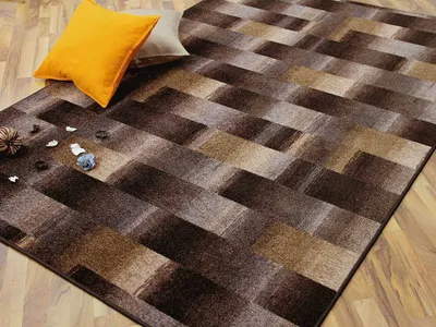 A close-up shot of a patterned rug on a wooden floor, with two decorative pillows placed on the rug.
