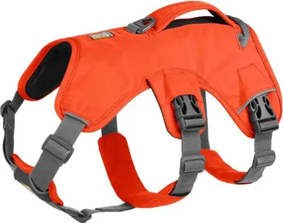 Zdjęcie produktu dla Ruffwear Web Master Harness, Kolor: Blaze Orange, Rozmiar: XXS