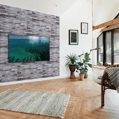 A living room with a TV mounted on a stone-patterned wall, a rug on the floor, and plants in pots.