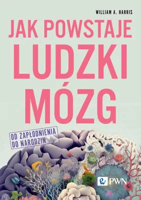 Immagine prodotto di Jak powstaje ludzki mozg