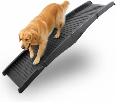 Produktbild von Hunderampe als Einstiegshilfe für Hunde, klappbar und faltbar aus Kunststoff