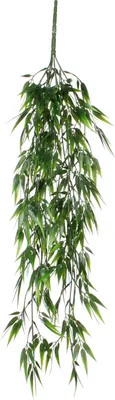 Produktbild von Mica Decorations Kunstlicher Zweig - Bambus - Pflanze - hangend - 76 x 20 cm