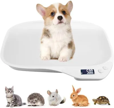 Zdjęcie produktu dla Cyfrowa waga dla małych zwierząt, do 15 kg, z wyświetlaczem LCD. Idealna waga dla kociąt, szczeniaków, chomików i innych małych zwierząt domowych