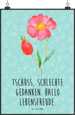 Produktbild von Mr. & Mrs. Panda Bild Blume Hagebutte DIN A2 - Türkis Pastell - Geschenk, Wanddekoration, drucke, Plakat, Garten, Wandbild, wanddeko, Lebensfreude, Schlechte Gedanken