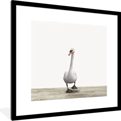 Produktbild von MuchoWow® Gerahmtes Poster Schwan - Tiere - Vogel - Jungen - Mädchen - Kinder 40x40 cm - Poster mit Schwarzem Bilderrahmen Wandposter Rahmen Foto Bilder - Poster - Plakat im Rahmen