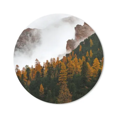 Produktbild von MuchoWow® Mauspad Mousepad Kiefer - Herbst - Berg - Landschaft 20x20 cm - Mousepads - Maus Mat - Pad - Mausunterlage - Schreibtischmatte