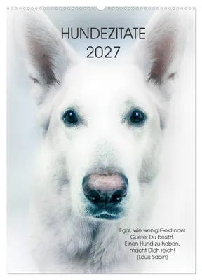 Produktbild von Hundezitate 2027 (Wandkalender 2027 DIN A2 hoch), CALVENDO Monatskalender
