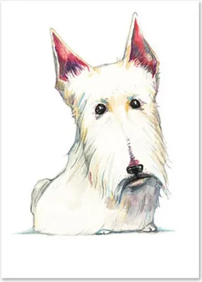Produktbild von TPFLiving Kunstdruck LW-1010 (OHNE RAHMEN) Poster - Leinwand - Wandbild - Hochauflösender Giclée-Druck, langlebig und hochwertig - Hunde, Herz und Regenbogen für Kinderzimmer -  - Größe: 30x40cm