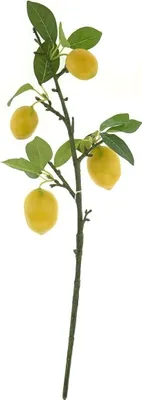 Produktbild von GASPER Zitronenzweig mit 4 Früchten Grün & Gelb 68 cm - Kunstpflanzen