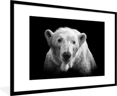 Produktbild von MuchoWow® MuchoWow® Gerahmtes Poster Porträt Eisbär auf schwarzem Hintergrund in schwarz und weiß 90x60 cm - Poster mit zchwarzem Bilderrahmen - Wanddekoration - Fotos