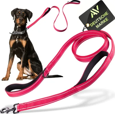 Produktbild von AVANA Hundeleine mit Kurzführer reflektierende Leine | 2 gepolsterte Handschlaufen | 1,5 Meter Führleine für große und mittelgroße Hunde - Rot