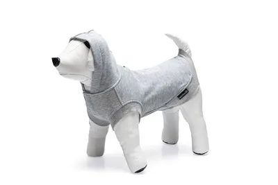 Produktbild von Beeztees Hundepullover Palu hellgrau, Größe:32 cm