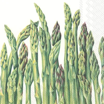 Produktbild von GREEN ASPARAGUS Lunch-Servietten L 810800