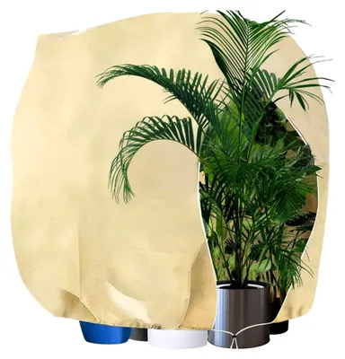 Produktbild von Winterschutz für Pflanzen 200 * 240CM, Frostschutzhaube mit Reißverschluss und Zugband, Vlies für Gartenpflanzen