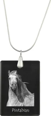 Produktbild von Pintabian - Crystal pendant with horse, silver necklace with photo, personalised pendant by Art-Dog brand