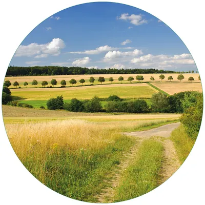 Produktbild von Wallario Premium Glasbild, freischwebende Optik, kräftige Farben, rund 50cm Durchmesser, Motiv Feldlandschaft unter blauem Himmel