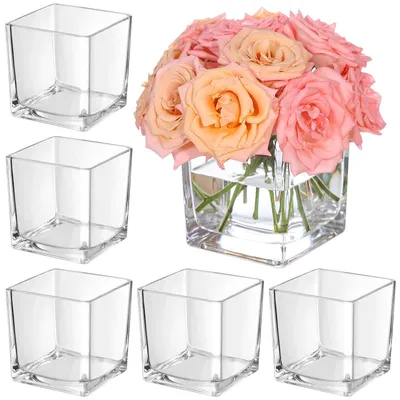 6er-Set quadratische Glasvasen 12,7 cm, klar, für Blumen & Kerzen