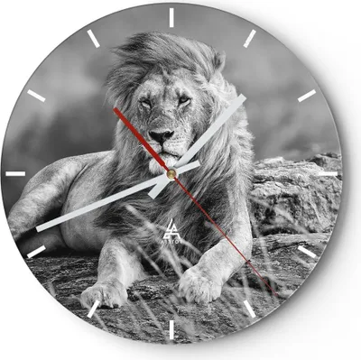 Produktbild von Wanduhr - Rund - Glasuhr - Löwe Tier Natur - 40x40cm - Schleichendes Uhrwerk - Lautlos - zum Aufhängen bereit - Dekoration Modern - Wanddekoration aus Glas - C3AR40x40-3931