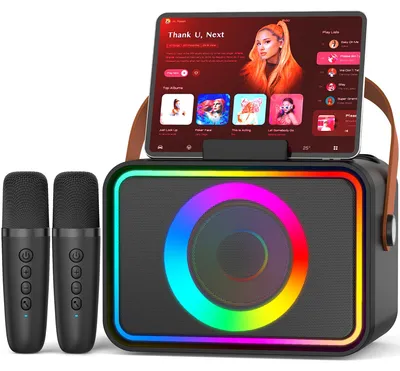 Karaokemaschine mit 2 Mikrofonen, Bluetooth-Lautsprecher, Discolicht, PA