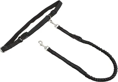 Produktbild von Kerbl Pet Joggingleine Active mit Hüftgurt