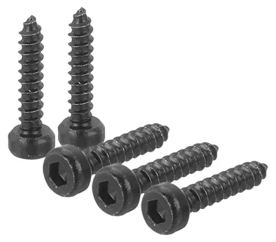 Productafbeelding van 60 Stuks Zelfschrijvende Zeskantschroeven M2x10mm in Zwart Roestvrij Staal