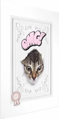Produktbild von Posterpapier Poster - OMG! 60x90 cm Tiere g-C-0108-ao-a