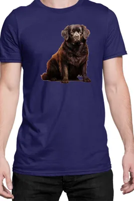 Immagine prodotto di Maglietta da uomo Dogs Breeds Newfoundland Dog Breed 005, Man M , Bleu foncé