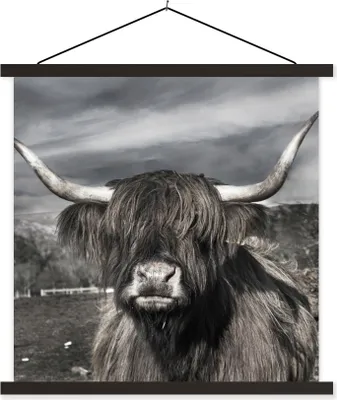 Produktbild von MuchoWow® Textilposter Schottisches Hochlandrind - Tiere - Hörner 40x40 cm mit schwarzem Rahmen - Fotos