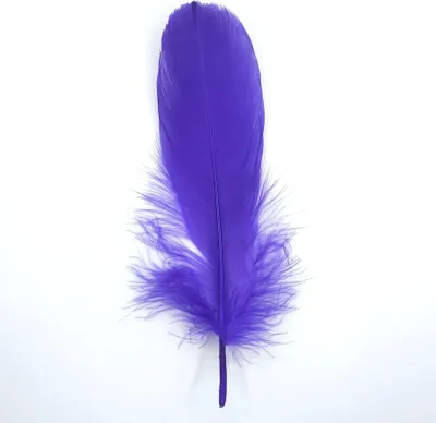 Immagine prodotto di Piume Piume d'oca, circa 15-20 cm, 10 pezzi, viola