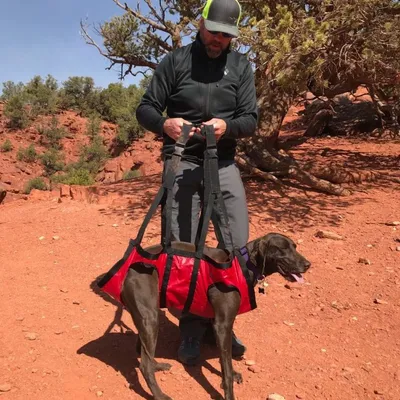 Mann mit schwarzer Jacke und Sonnenbrille; der ein rotes Hunderettungsgeschirr von FidoPro an einem Hund anlegt; in einer roten; felsigen Umgebung.