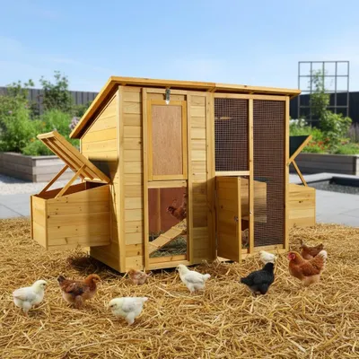 A wooden chicken coop with several chickens and chicks scattered around it on a bed of straw, with a garden and fence in the background.