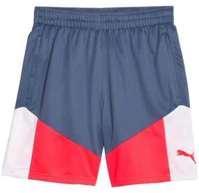 Produktbild von Puma Individualcup Shorts 65848553 Herren