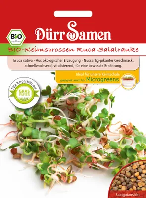 Produktbild von Keimsprossen Ruca Salatrauke | -Keimsprossen von Dürr Samen
