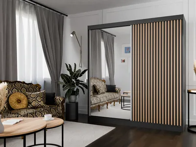 Produktbild von Kleiderschrank Lili mit Lamellen 200 cm inklusive 2 Schiebetüren Schwebetürenschrank Kleiderstange Garderobe Schrank Lieferung bis in die Wohnung (Farbe: schwarz, schwarz, Lamelle wotan, Spiegel)