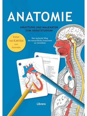 Obrázek produktu pro Anatomie - Anleitung und Malkarten zum Selbststudium