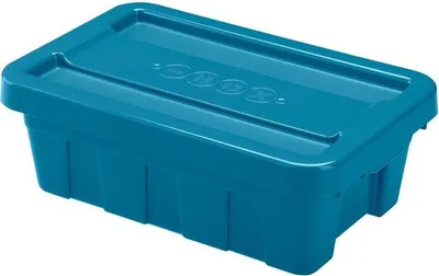 Image de Boîte De Rangement Avec Couvercle 45X29X15,5Cm 12.5L