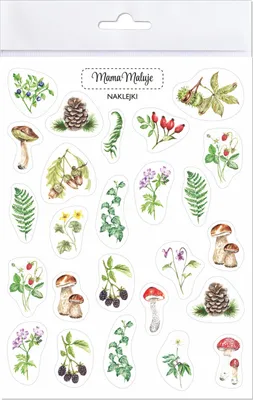Immagine prodotto di Naklejki Leśne botaniczne