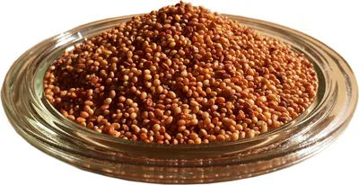 Produktbild von LanDixx Inkarnatklee 1 kg Klee Saatgut  Gründüngung Bienen Blutklee Rosenklee