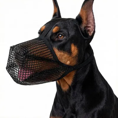 Produktbild von Maulkorb für Hunde Netz atmungsaktiv verstellbar XL