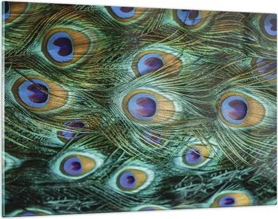 Produktbild von Bilder auf glas - Einteilig - Pfauen Feder Makro - 120x80cm - Glasbilder - Wandbilder - Bilder - zum Aufhängen bereit - Wanddekoration aus Glas - Glas Bilder - Wandbild auf Glas - GAA120x80-4159